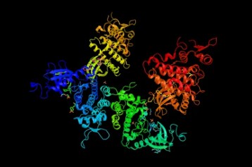 DYRKs (Dual-specificity Tyrosine-[Y]-phosphorylation Regulated Kinases) - Creative BioMart 